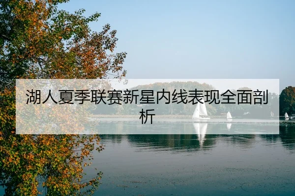 湖人夏季联赛新星内线表现全面剖析